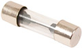 25mm. Glass Fuses